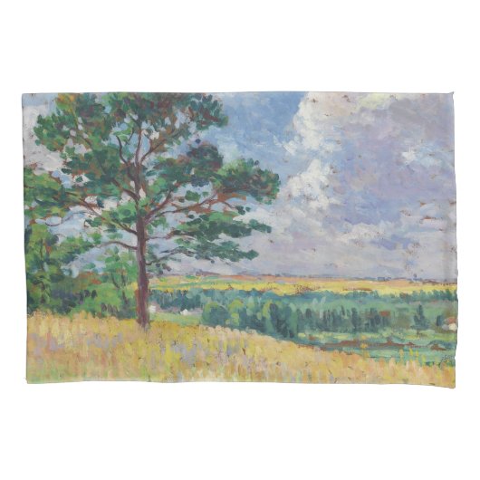 Plattelandslandschap rond Méréville, Frankrijk (ar Kussensloop (Voorkant-Links)