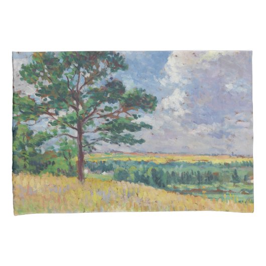 Plattelandslandschap rond Méréville, Frankrijk (ar Kussensloop (Voorkant-Rechts)