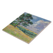 Plattelandslandschap rond Méréville, Frankrijk (ar Tegeltje (Zijkant)