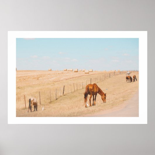 Plattelandslandschap Wilde Paarden Vallen Poster (Voorkant)