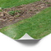 Plattelandsleven met Donkey Poster (Hoek)