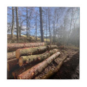 Plattelandslogboeken. Tegeltje (Voorkant)