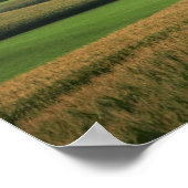 PlattelandsMidwest Boerderij Field Landscape Color Poster (Hoek)