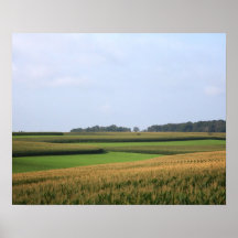 PlattelandsMidwest Boerderij Field Landscape Color