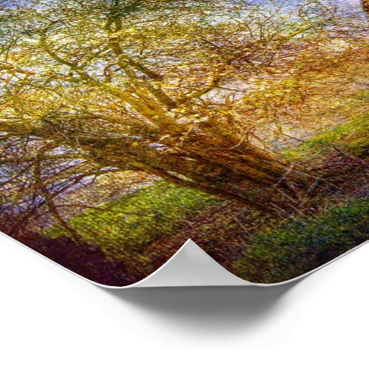 Plattelandsverval Poster (Hoek)