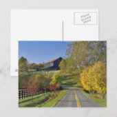 Plattelandsweg door de regio Bluegrass in Kentucky Briefkaart (Voorkant / Achterkant)