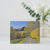 Plattelandsweg door de regio Bluegrass in Kentucky Briefkaart (Staand voorkant)