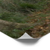 Plattelandsweg in de buurt van de stad poster (Hoek)