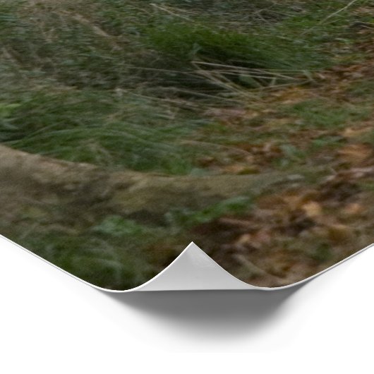 Plattelandsweg in de buurt van de stad poster (Hoek)