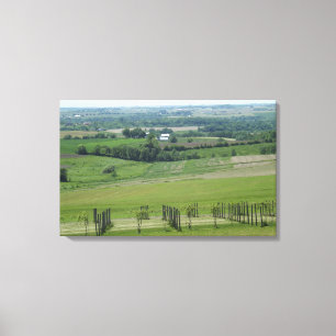 Platteville, Wisconsin Grapevine Wijngaard Poster Canvas Afdruk