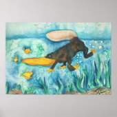 "Platty" de Platypus van Mike Quinn Poster (Voorkant)