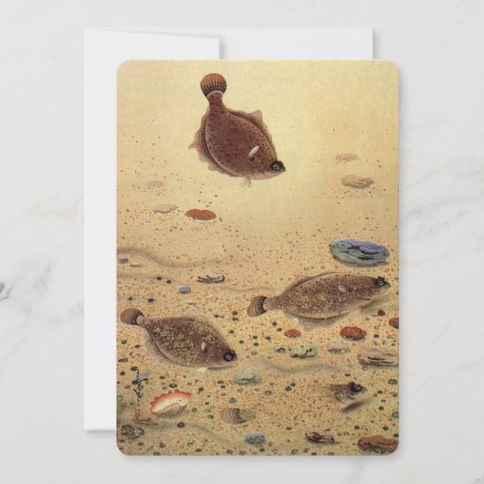  platvis Vist Kaart (Voorkant)