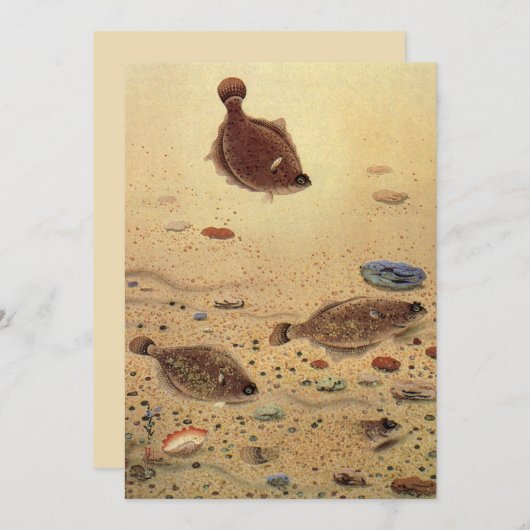 platvis Vist Kaart (Voorkant / Achterkant)