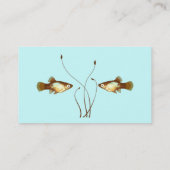 Platy on Blue Visitekaartje (Achterkant)