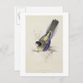 Platycercus Brownii, of bruinkeet (Bord 2) Briefkaart (Voorkant / Achterkant)