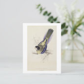 Platycercus Brownii, of bruinkeet (Bord 2) Briefkaart (Staand voorkant)