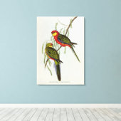 Platycercus Icterotis Canvas Afdruk (Insitu (Houten vloer))