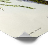 Platycercus Icterotis Poster (Hoek)