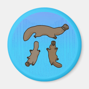 "Platypi" Drie Platypussen Griekse Pi Magneet
