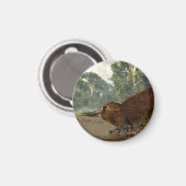 Platypus aan de kust magneet (Voorkant / Achterkant)