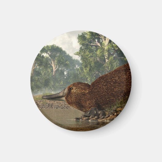 Platypus aan de kust magneet (Voorkant)