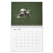 PLATYPUS AUSTRALIË KALENDER (Mar 2027)