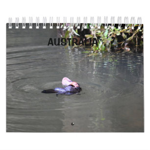 PLATYPUS AUSTRALIË KALENDER