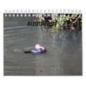 PLATYPUS AUSTRALIË KALENDER (Hoes)