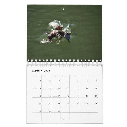 PLATYPUS AUSTRALIË KALENDER (Mar 2026)