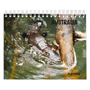 PLATYPUS AUSTRALIË KALENDER
