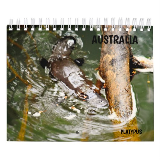 PLATYPUS AUSTRALIË KALENDER (Hoes)