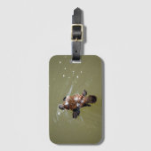 PLATYPUS EN DRAGONFLY EUNGELLA QUEENSLAND AUSTRALI BAGAGELABEL (Voorkant (verticaal))