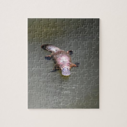 PLATYPUS EUNGELLA NATIONAAL PARK AUSTRALIË LEGPUZZEL (Verticaal)