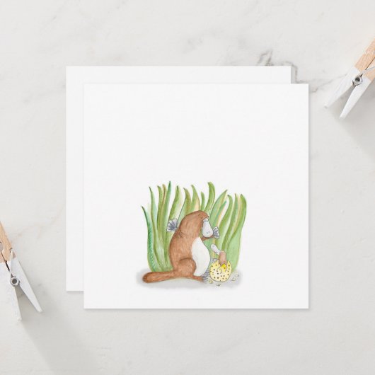 Platypus-flatkaart Kaart (Voorkant / Achterkant in situ)