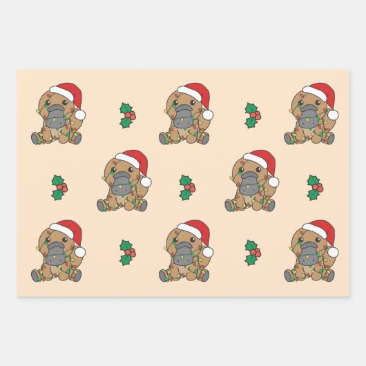 Platypus Kerstmis Winter Dieren Vakantie Platypus Inpakpapier Vel (Voorkant 3)