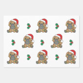 Platypus Kerstmis Winter Dieren Vakantie Platypus Inpakpapier Vel (Voorkant 2)