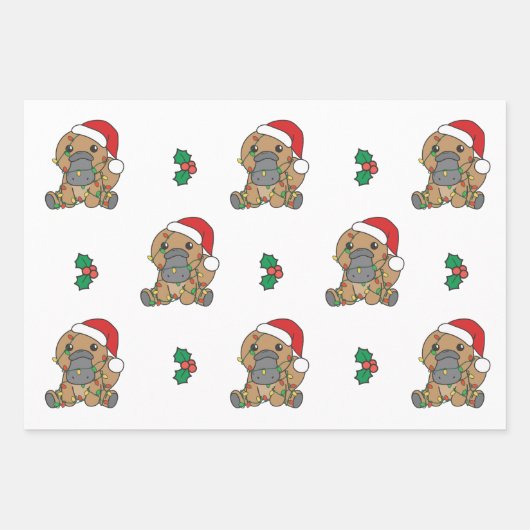 Platypus Kerstmis Winter Dieren Vakantie Platypus Inpakpapier Vel (Voorkant 2)