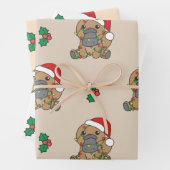 Platypus Kerstmis Winter Dieren Vakantie Platypus Inpakpapier Vel (In situ)