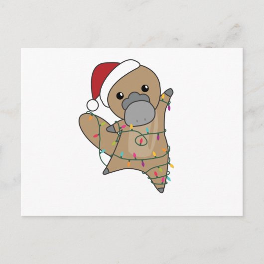 platypus kerststaarten zoete dieren briefkaart (Voorkant)