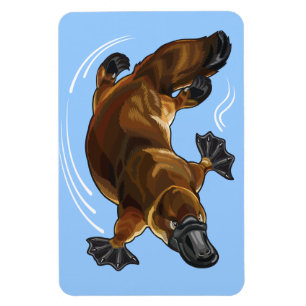 platypus magneet