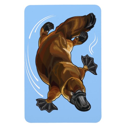 platypus magneet (Verticaal)
