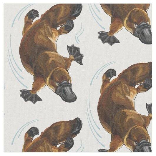 platypus met eenkopvis stof (Close Up)
