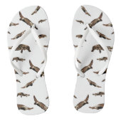 Platypus (Ornithorhynchus anatinus) Teenslippers (Voetbed)