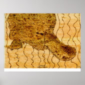 Platypus Poster (Voorkant)