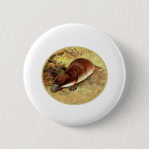 Platypus Ronde Button 5,7 Cm