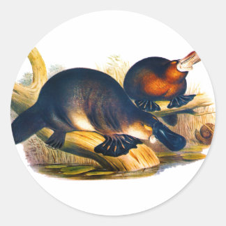Platypus Ronde Sticker