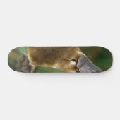 Platypus Skateboard (Horizontaal)