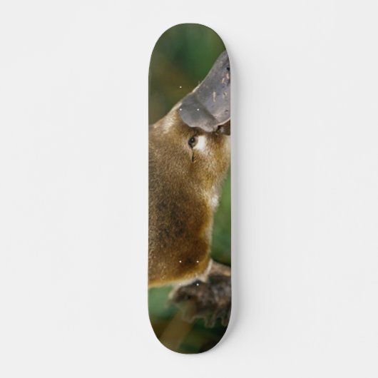 Platypus Skateboard (Voorkant)