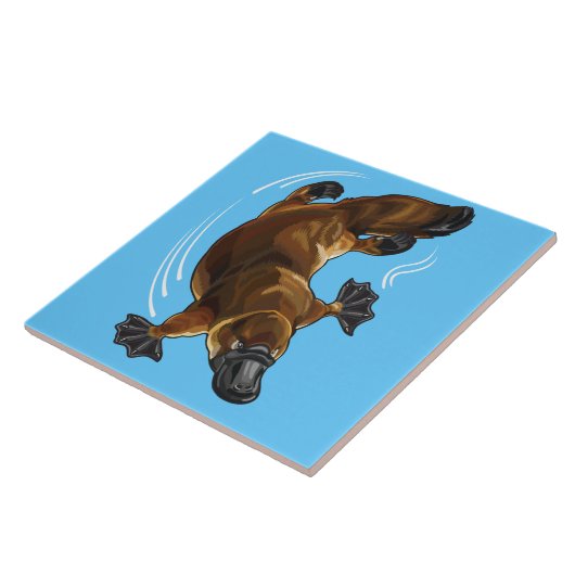 platypus tegeltje (Zijkant)