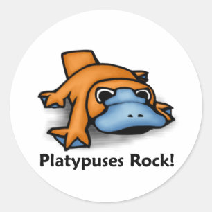 Platypuses Rock! Ronde Sticker